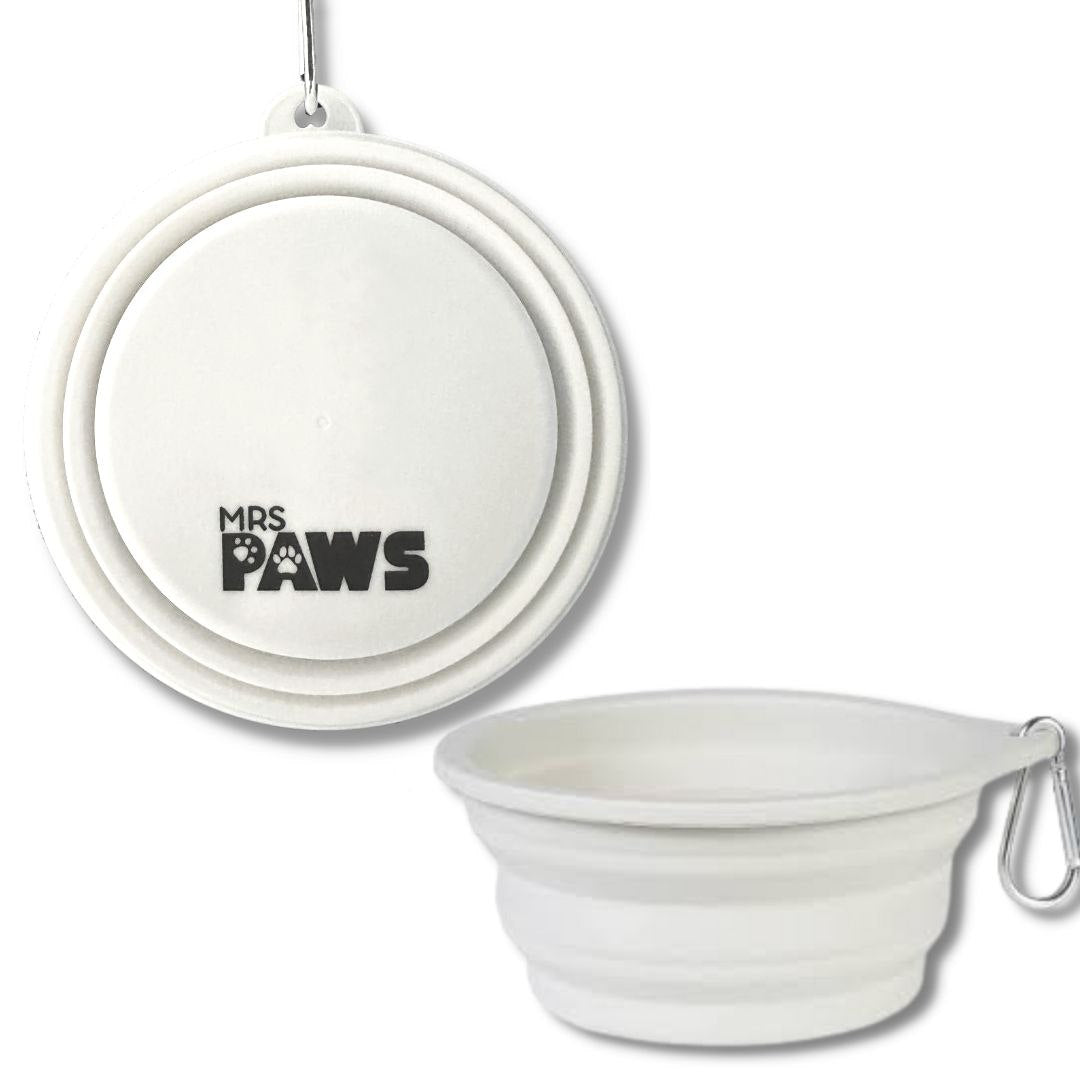 Collapsible Bowls Set