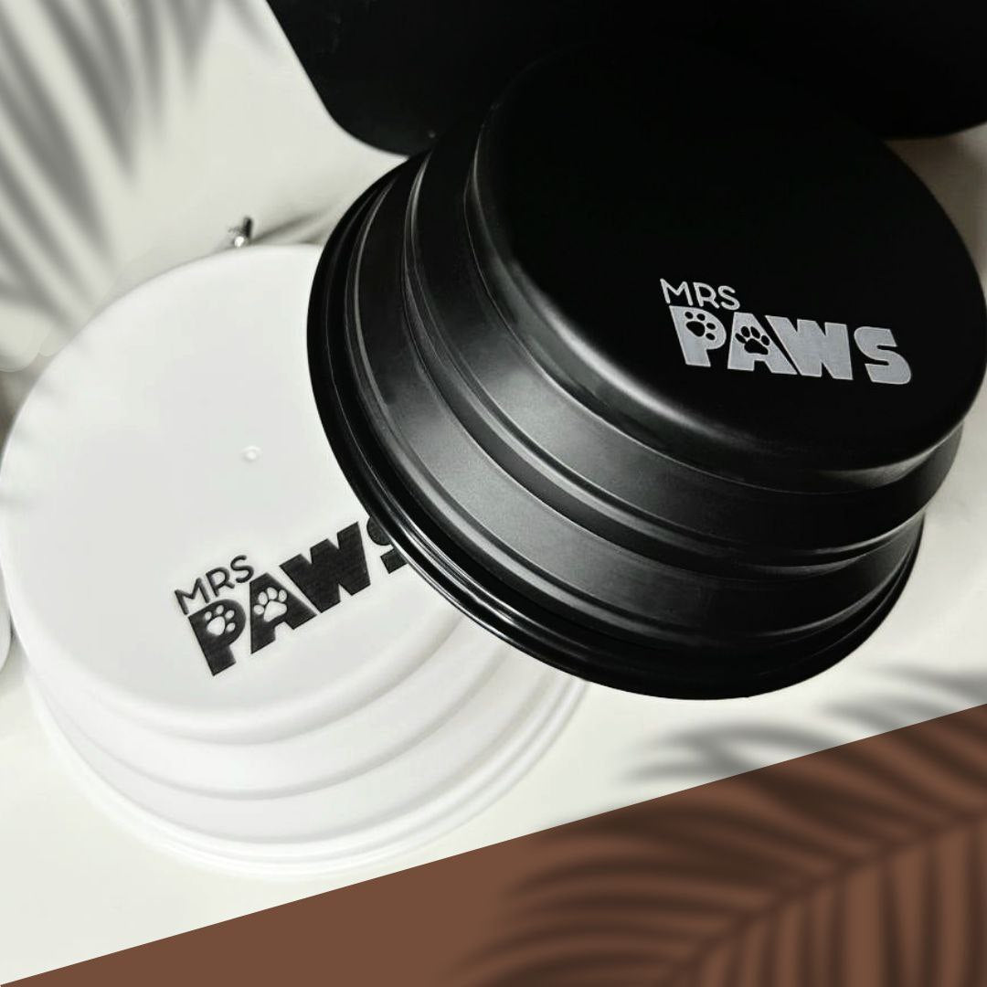 Collapsible Bowls Set