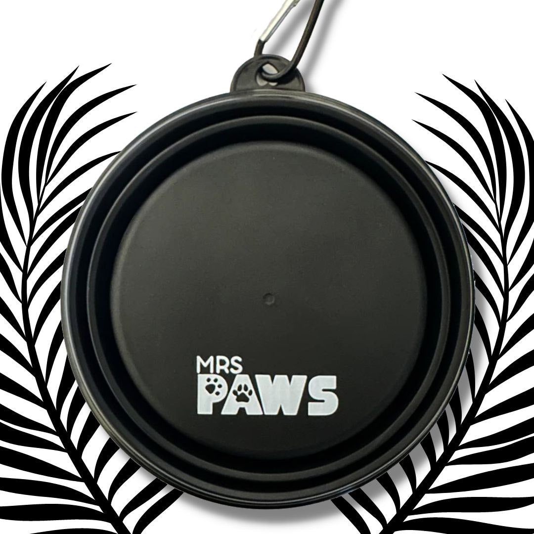 Collapsible Bowls Set