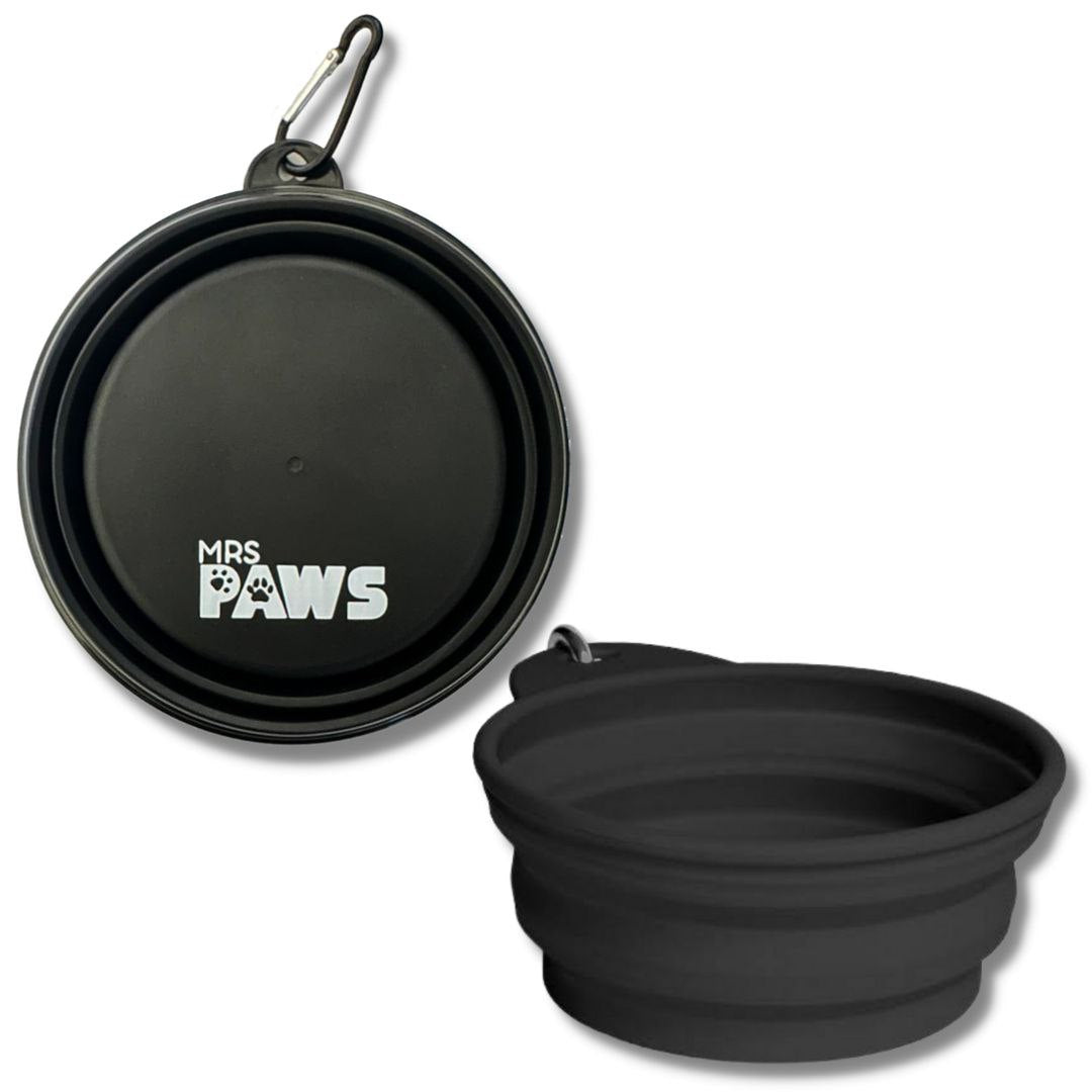 Collapsible Bowls Set